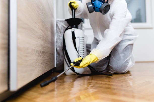 Best Emergency Pest Control  in Feasterville, PA
