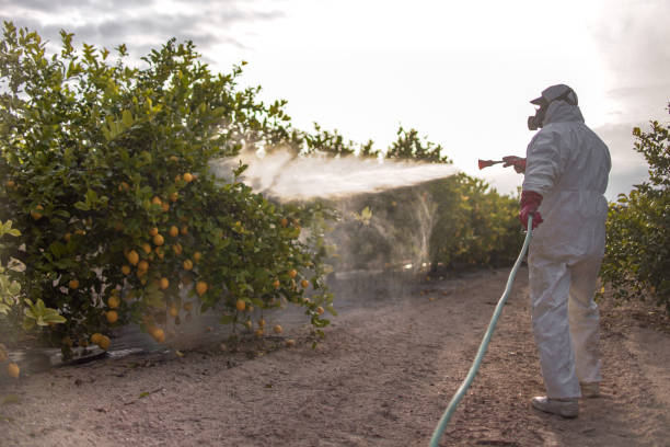Pest Prevention Services in Feasterville, PA