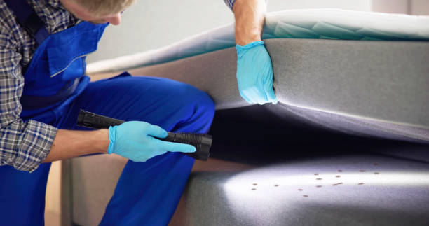 Best Pest Removal Services  in Feasterville, PA