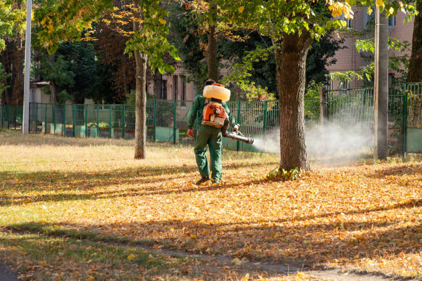 Best Local Pest Control Services  in Feasterville, PA