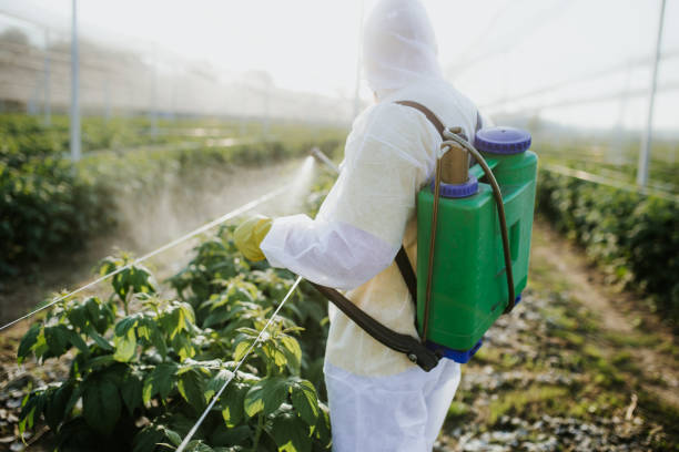 Best Exterminator Services  in Feasterville, PA